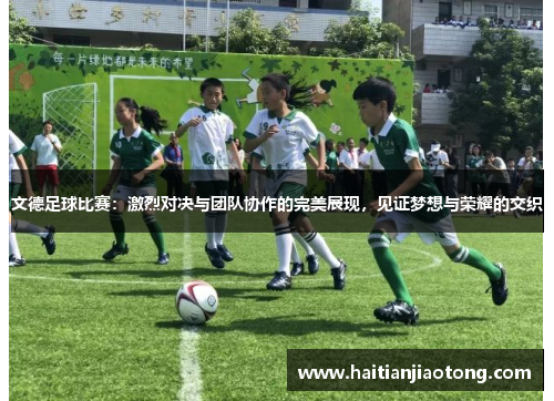 文德足球比赛：激烈对决与团队协作的完美展现，见证梦想与荣耀的交织
