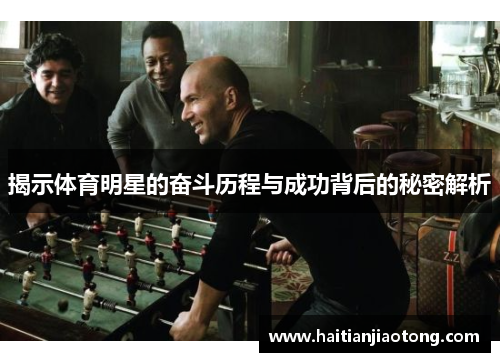 揭示体育明星的奋斗历程与成功背后的秘密解析